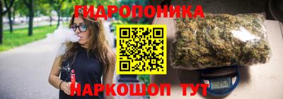 гашик Кунгур